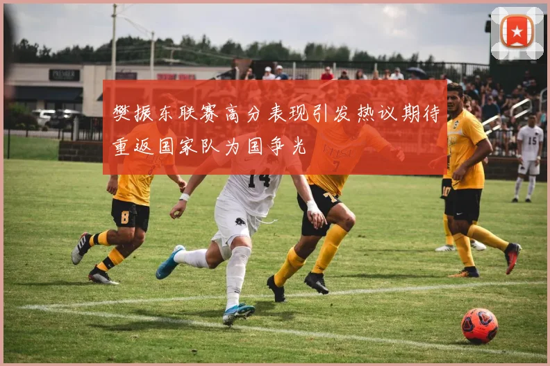 樊振东联赛高分表现引发热议期待重返国家队为国争光